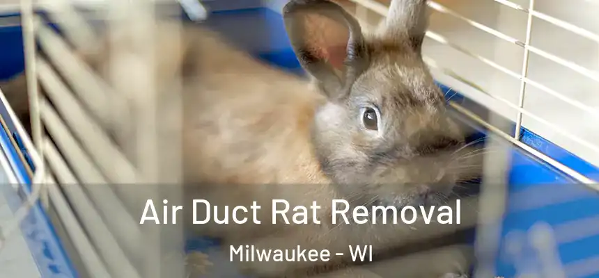  Air Duct Rat Removal Milwaukee - WI