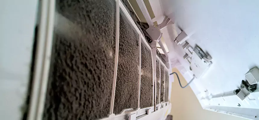 Preventive Air Duct Bacteria Removal in Milwaukee