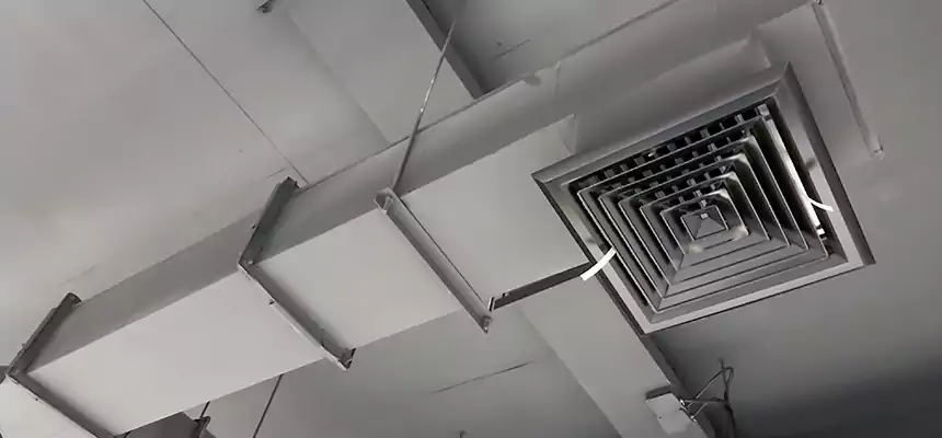 Our Rodent Droppings In Vents Services in Milwaukee, WI