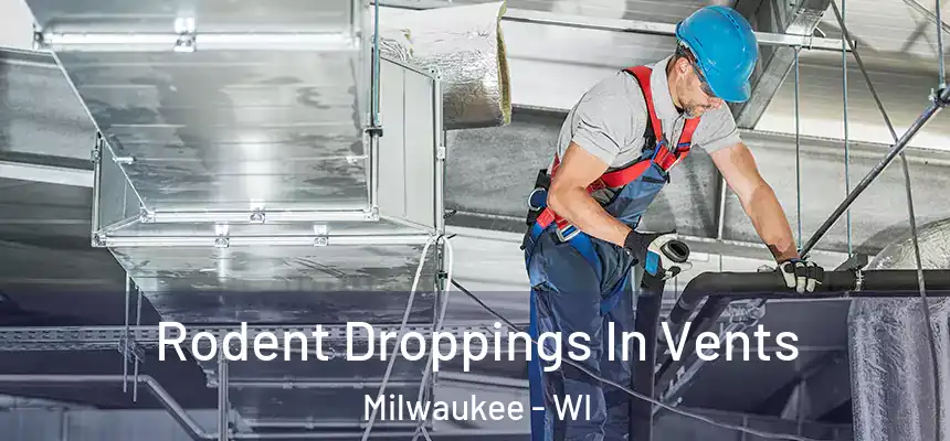  Rodent Droppings In Vents Milwaukee - WI
