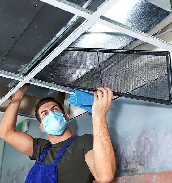 Professional Air Duct Pollen Cleaning in Milwaukee, WI