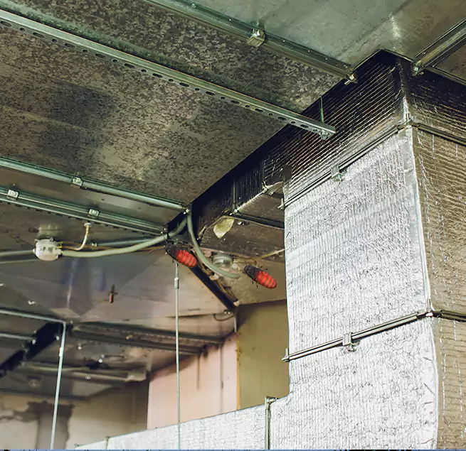 Why Homeowners & Businesses Trust Us in Milwaukee, WI?